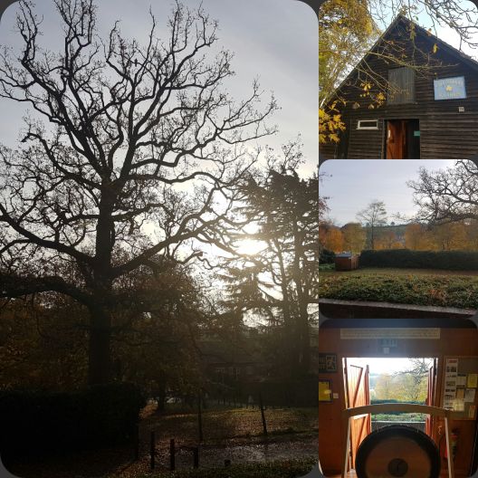 Photos from Chesham Nov 2016